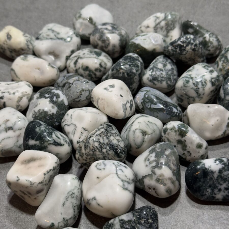 Green speckled "Tree" Agate